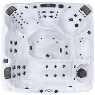 Avalon EC-867L hot tubs for sale in Paloalto