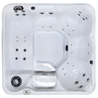 Hawaiian PZ-636L hot tubs for sale in Paloalto